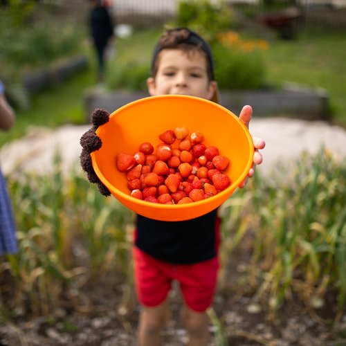 24 Carrot Gardens