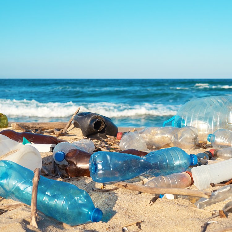 Ocean Rubbish