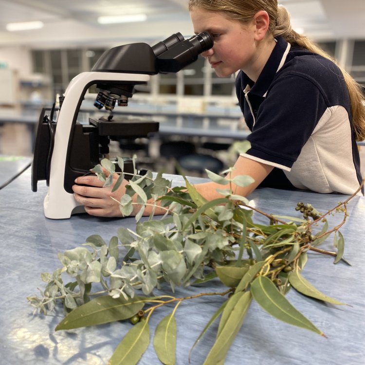 Student with leaves and microscope.jpeg