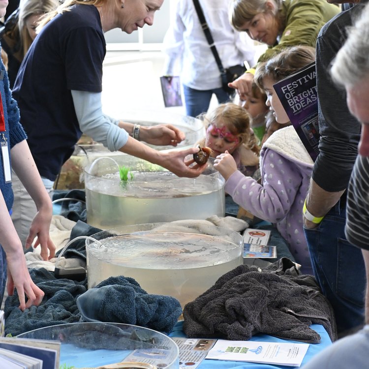 Marine Discovery Centre