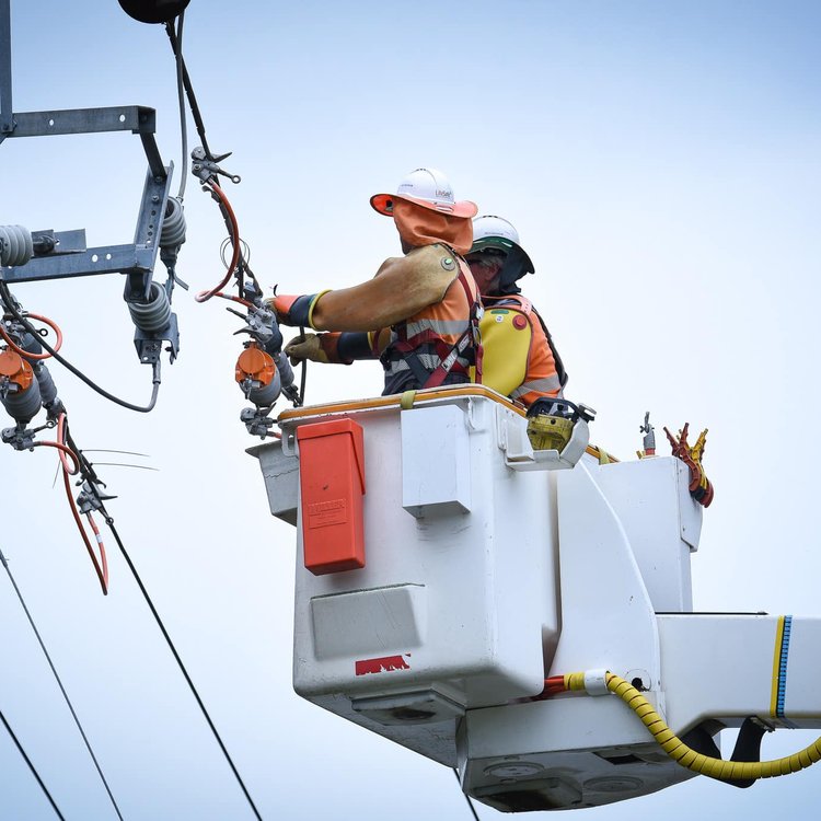 tasnetworks ewp