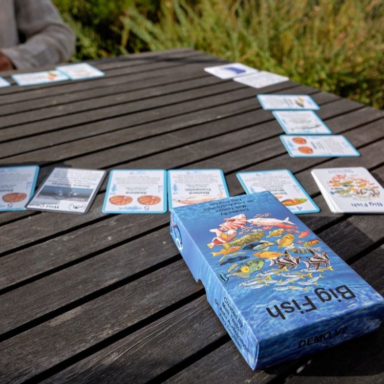 Big Fish Game
